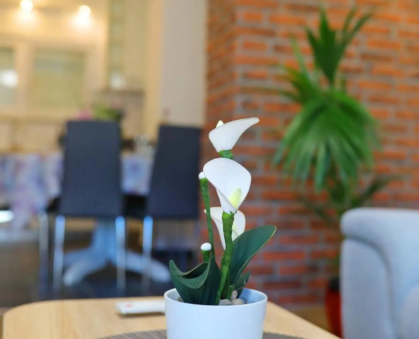 Apartment In Zadar Near The Old Town- By Ta Leut Agency Brodarica